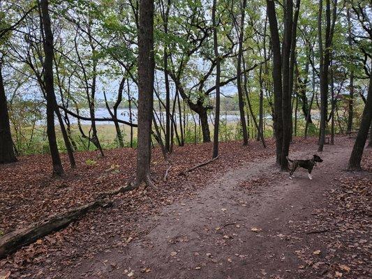 Gorgeous view from the trails!