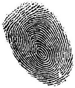 Krimson Security & Fingerprinting