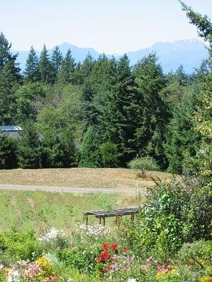 The view from the deck of the B&B