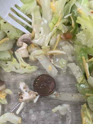 Chef salad plus a disgusting penny.