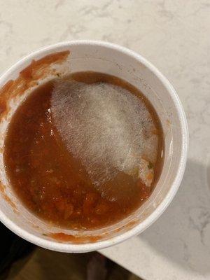 Mold on salsa?!