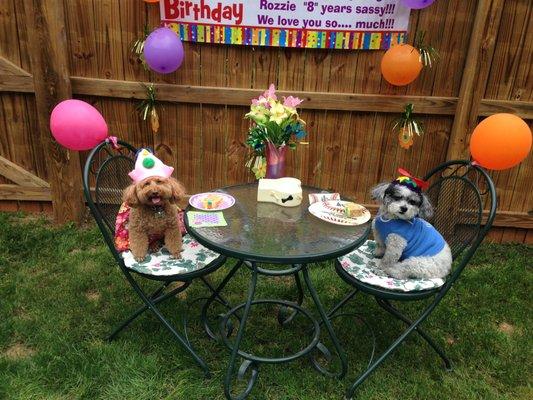 Celebrating two special pups!