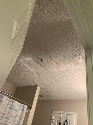 Water damage to ceiling