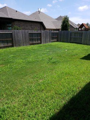 18 months of service - Back yard