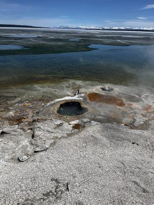 Yellowstone Luxury Tours