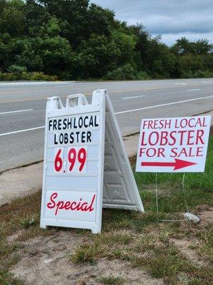 Lobster sale still live $6.99/pound