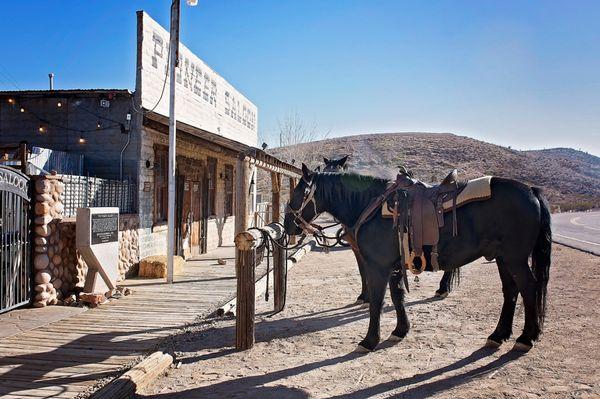 Hogs & Horses Parking