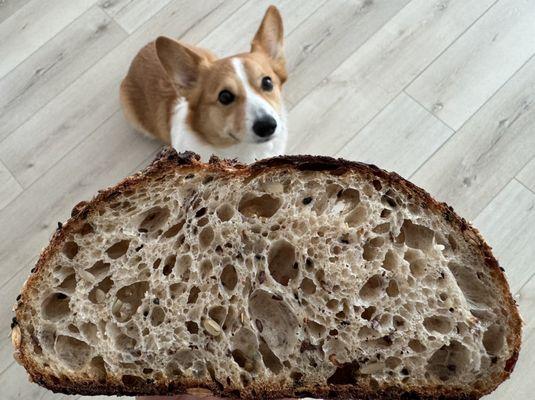 Seeded Sourdough