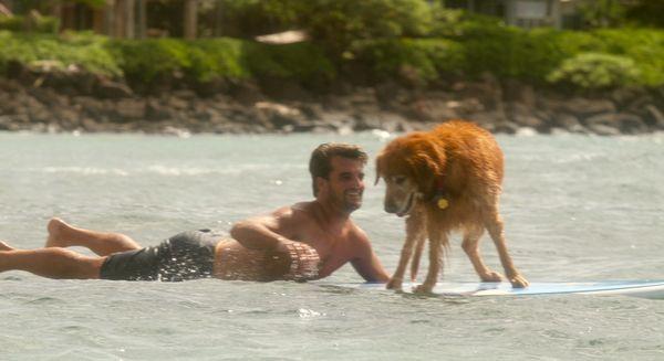 Owner Mike and his dog Rocco