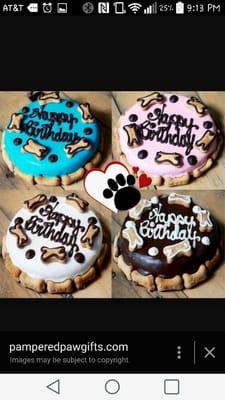 Birthday cakes for you 4 legged friend