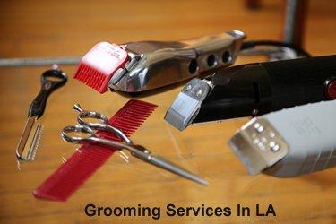 Male Grooming clip and shave