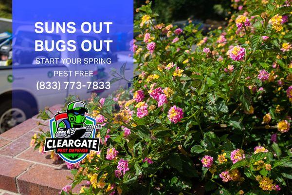 Start your spring pest free, starting at $65 a month.