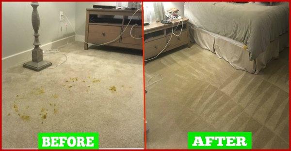 carpet cleaning dc