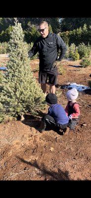 McBurney Tree Farm