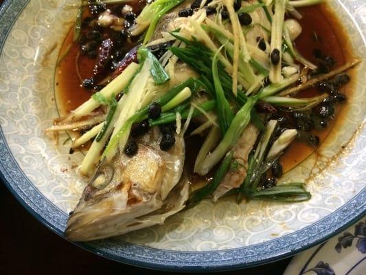 Oddly, Yummy Yummy offers a few traditional Chinese dishes like this steamed whole fish. It is available on a separate menu.