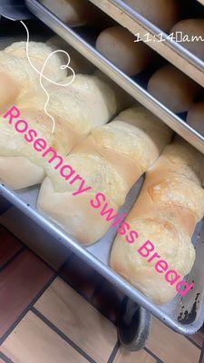 Rosemary Swiss bread