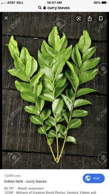 Fresh curry leaves