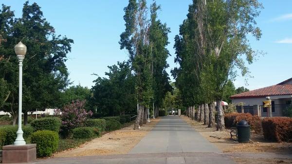 Walkway leading to the park