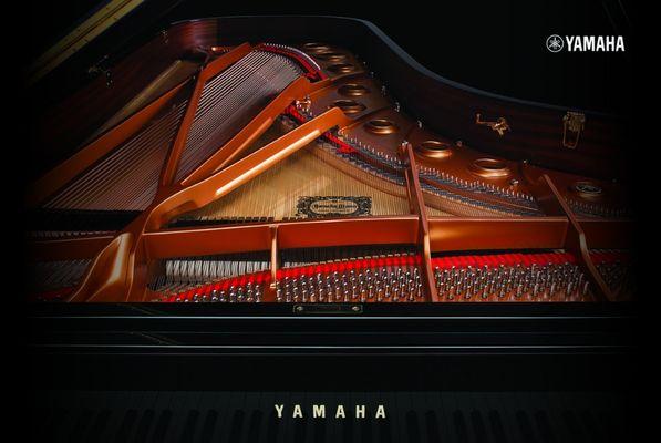 We move and tune Yamaha, Steinways, Baldwin, Kawai and all piano brands