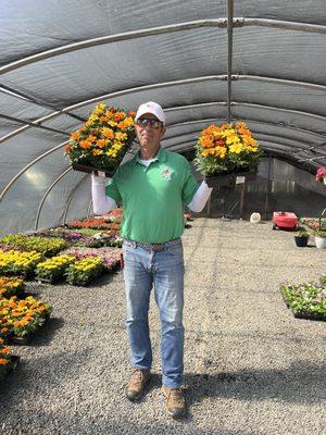 Henry, the owner bringing marigold trays to my car.