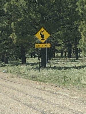 Elk signs