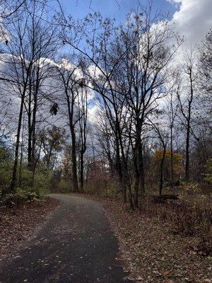 Paved walking path