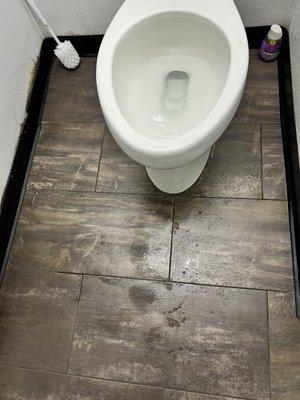 Urine all over floor