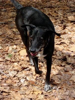 Chagrin Metro Parks 2009