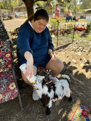 Feeding the babies so much fun