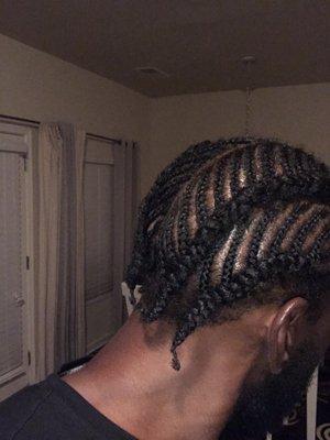 Fishbone braids (rearview)