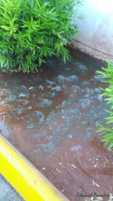 Raw sewage  at Hampton  Court  apartments 3955 swenson st Las Vegas nv 89119