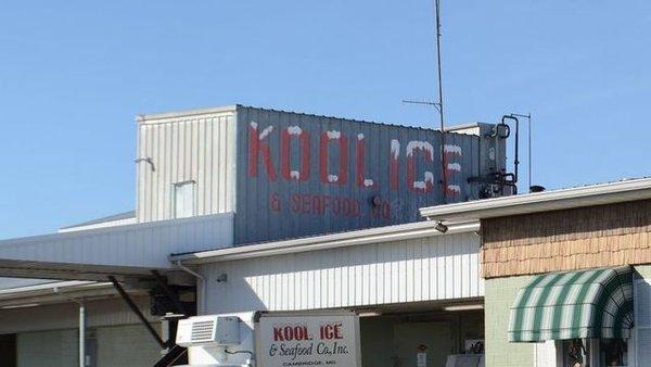 KOOL Ice & Seafood Co