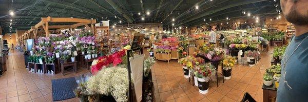 Crazy huge floral dept for a grocer