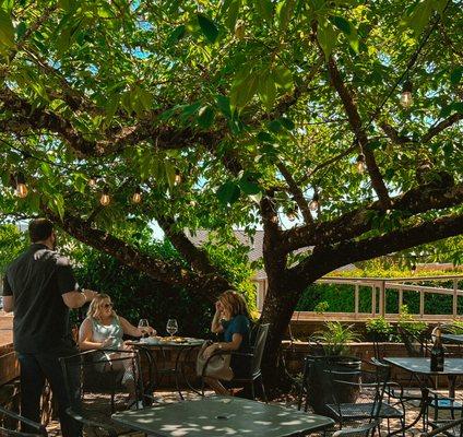 The Domaine Lumineux patio.