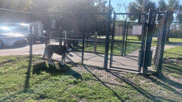 Dog gated entry between big and small dog park