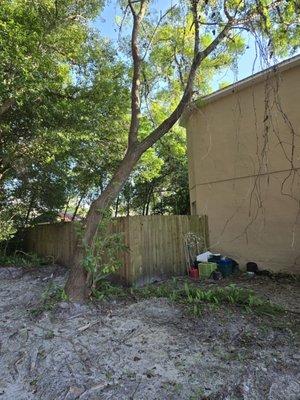 Another angle of the tree leaning against roof