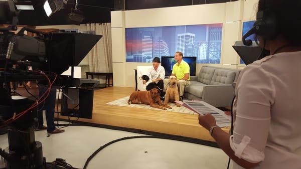 Greg & The Pack on NBC's "First Coast Living"