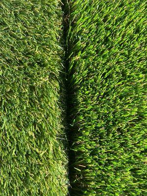 Unedited photo to showcase the exceptional realism and quality of our turf