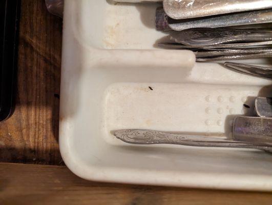 Silverware drawer