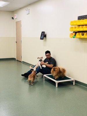 Cristian is hanging with some pups in the daycare room