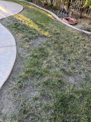 Patchy grass after 18+ months of service from TruGreen