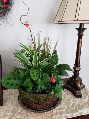 St Patrick's day arrangement.