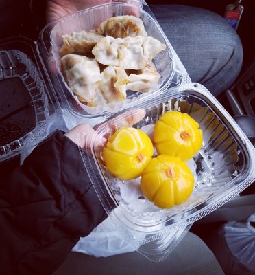 Pumpkin Dumplings/ potstickers