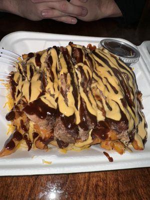 Brisket Fries