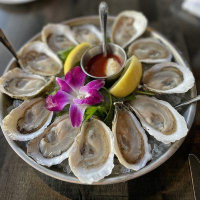 Oysters