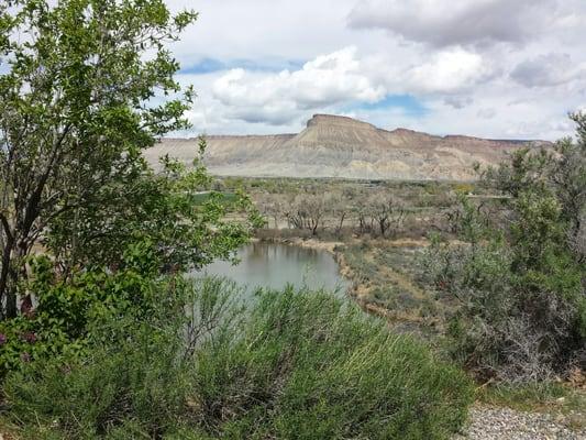 View from outside the tasting room