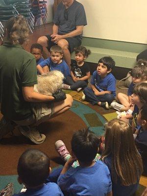 Field trip to a wilderness museum