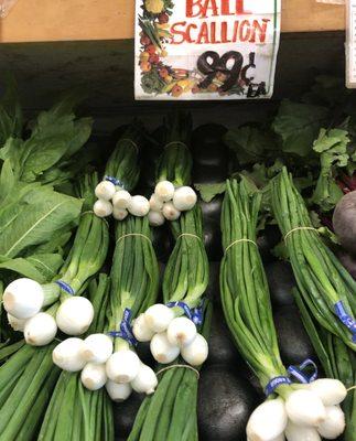 Ball Scallions. First time finding these.