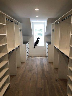 Master closet -Bernadoodle not included