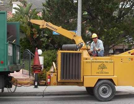 ETCLA Malibu Brush Removal